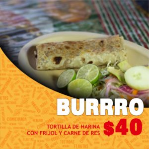 BURRO